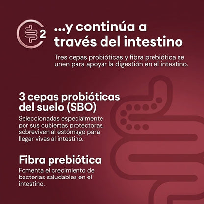 Equilibrio Digestivo Avanzado