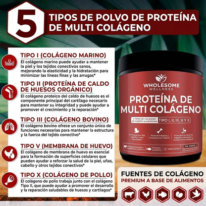 PROTEINA DE MULTI COLAGENO